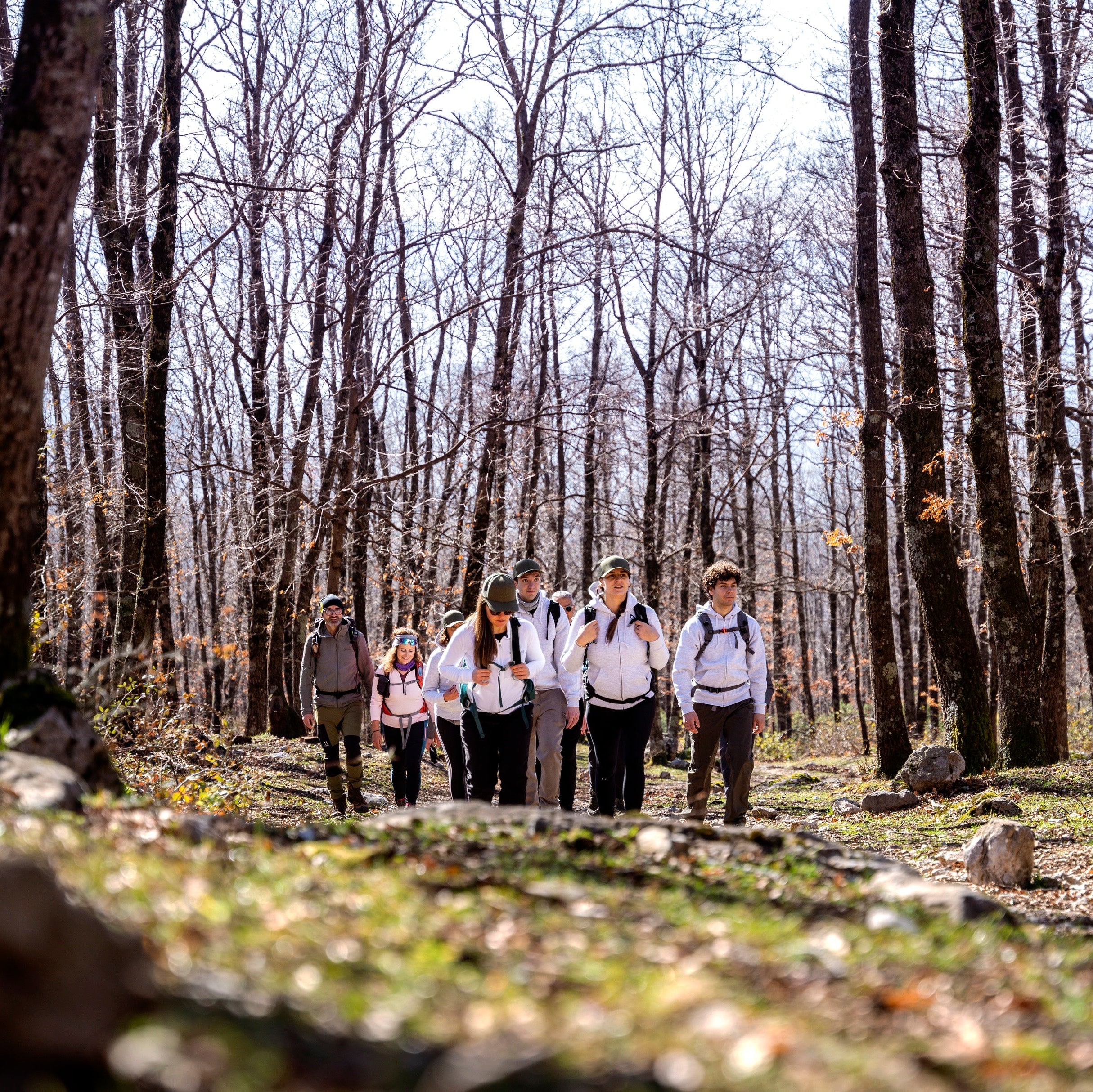 Hiking for Longevity program 6 nights