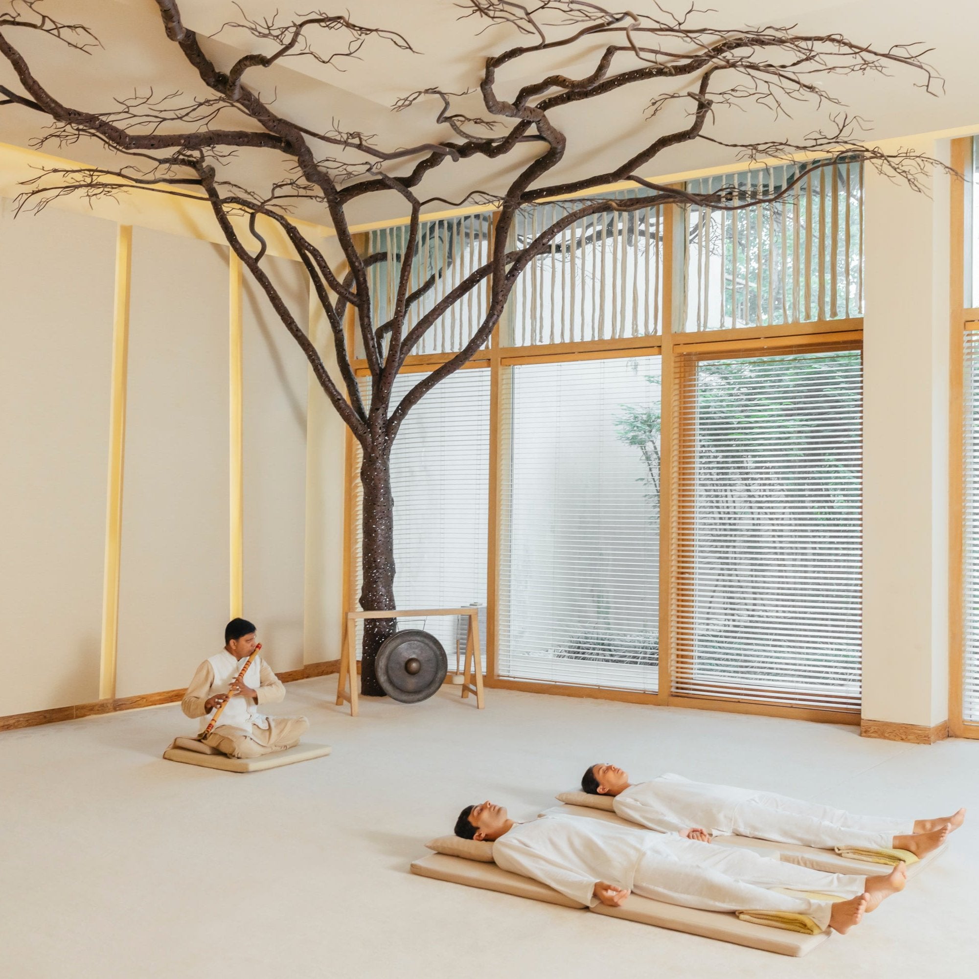 Tibetan Medicine 5 nights at Vana | India | Serenity Ways Serenity Ways