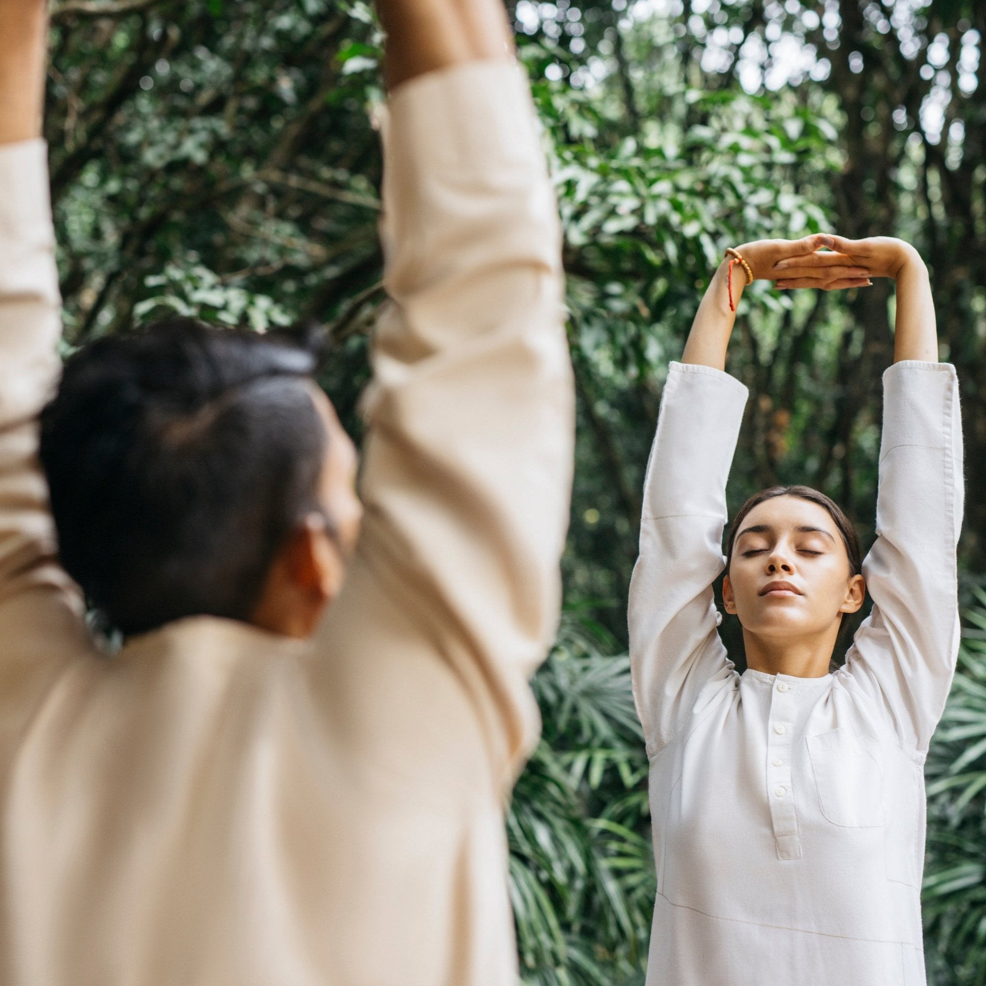 Tibetan Medicine 14 nights at Vana | India | Serenity Ways Serenity Ways
