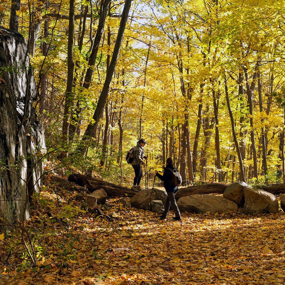 The Ranch Hudson Valley 4-night program | USA | from 3025 USD Serenity Ways