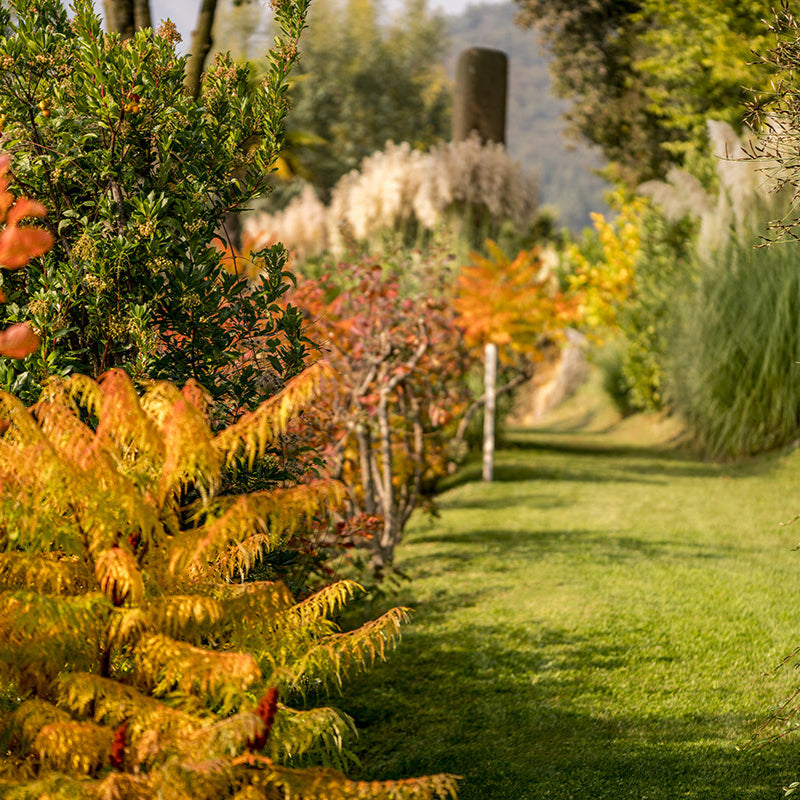 The magnificent park of wellness resort Lefay Lago di Garda inspired by the 5 movements of Traditional Chinese Medicine