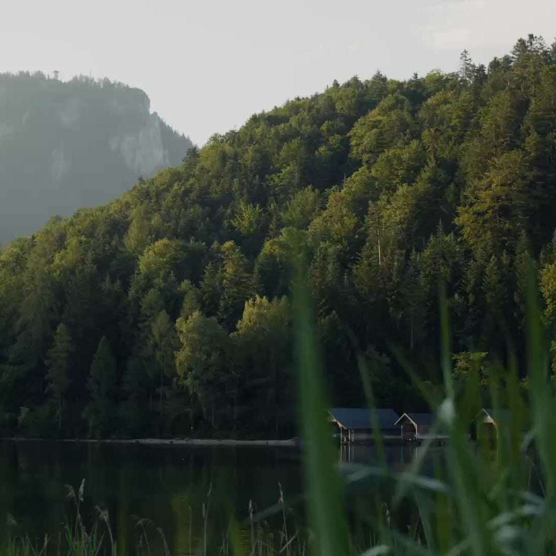 Scenic view of the lake at Mayrlife