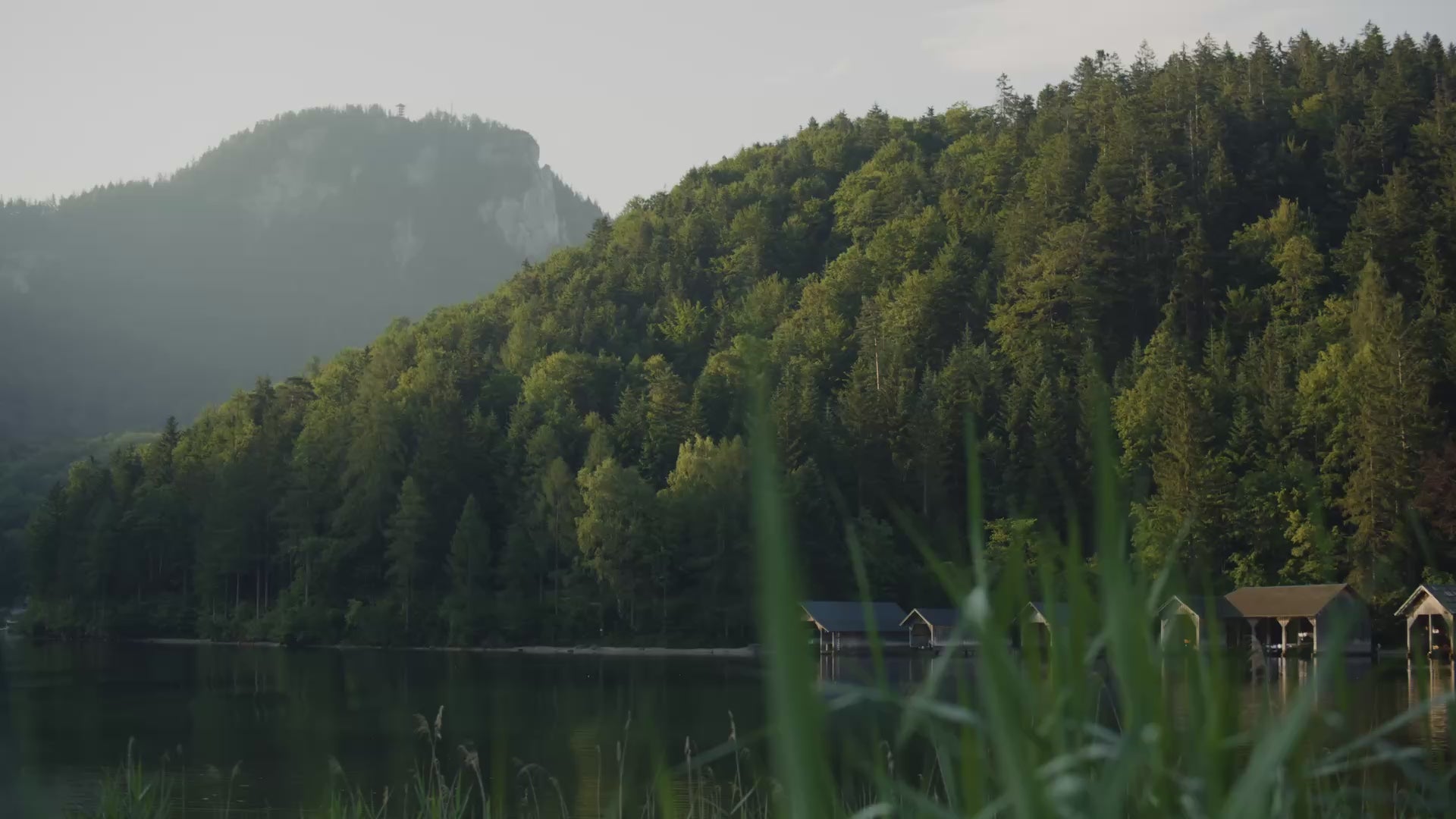 Load video: What a day at Mayrlife looks like
